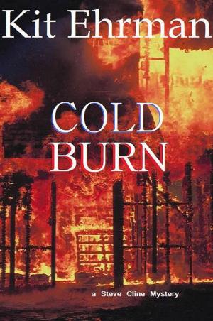 Book cover of Cold Burn