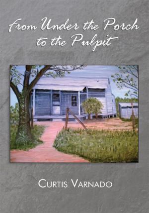 Cover of the book From Under the Porch to the Pulpit by Shannon Dougherty