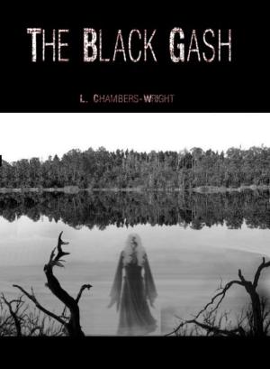 Cover of the book The Black Gash by Melissa McShane