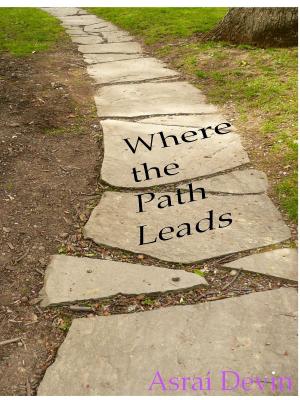 bigCover of the book Where the Path Leads by 