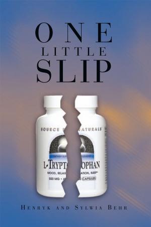Cover of the book One Little Slip by Alix Gardiner