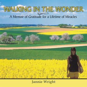 bigCover of the book Walking in the Wonder by 