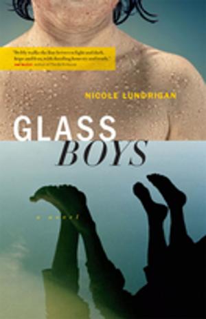 Cover of the book Glass Boys by Robin Brunet