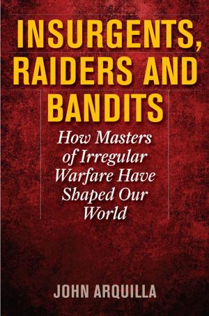 Book cover of Insurgents, Raiders, and Bandits