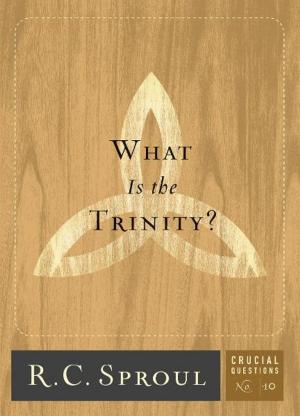 Cover of the book What is the Trinity? by R.C.Sproul