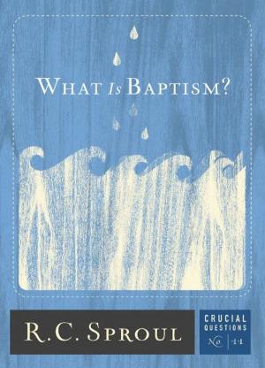 Cover of the book What is Baptism? by Steven J. Lawson
