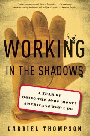 Cover of the book Working in the Shadows by Chris Hedges