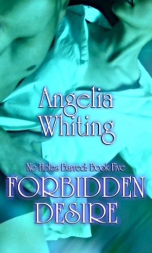 Book cover of No Holes Barred 5: Forbidden Desire