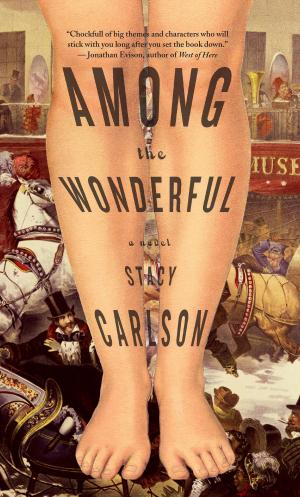 Cover of the book Among the Wonderful by Peter Shinkle