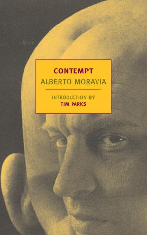 Cover of the book Contempt by Leon Garfield