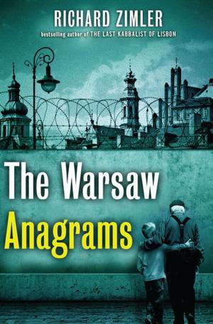 Cover of the book The Warsaw Anagrams by Drew Smith