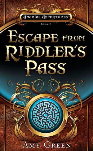 Cover of the book Escape From Riddler's Pass by Amy Lynn Green
