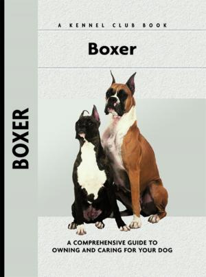 Cover of the book Boxer by Bardi McLennan