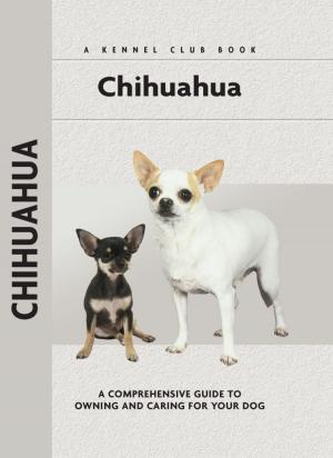 Cover of the book Chihuahua by Robert Hackford