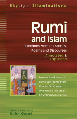 Cover of the book Rumi and Islam by Beatrice Trum Hunter