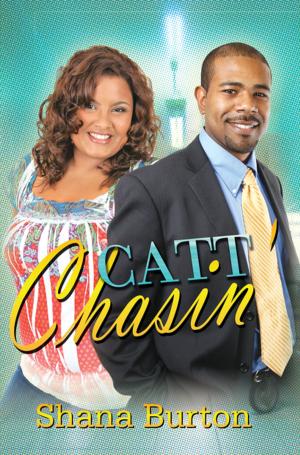 Cover of the book Catt Chasin' by Nikita Lynnette Nichols