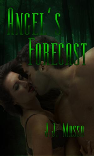 Book cover of Angel's Forecast