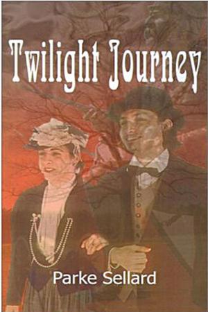 Cover of the book Twilight Journey by Jo Young Switzer