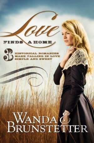 Cover of the book Love Finds a Home: 3 Historical Romances Make Falling in Love Simple and Sweet by Compiled by Barbour Staff