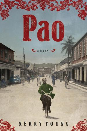 Cover of the book Pao by John E. Drabinski