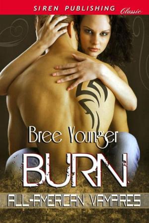 Cover of the book Burn by Heather Rainier