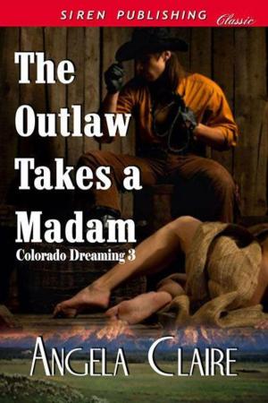 Book cover of The Outlaw Takes a Madam