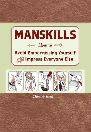 Book cover of Manskills