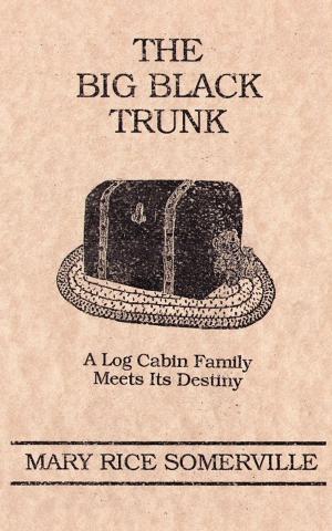 Book cover of The Big Black Trunk