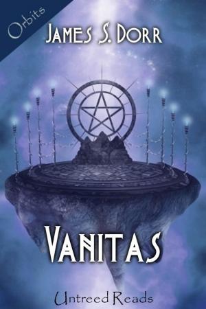 Cover of the book Vanitas by Rick R. Reed