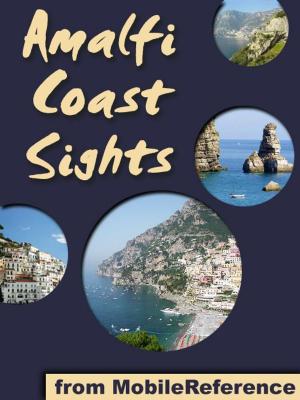 Cover of the book Amalfi Coast Sights (Mobi Sights) by Booker T. Washington