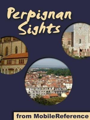 Book cover of Perpignan Sights (Mobi Sights)