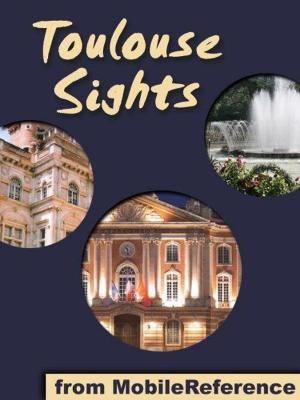 Cover of the book Toulouse Sights (Mobi Sights) by Toly K