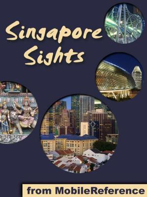 Book cover of Singapore Sights (Mobi Sights)