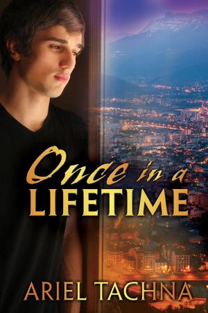 Cover of the book Once in a Lifetime by Heidi Cullinan