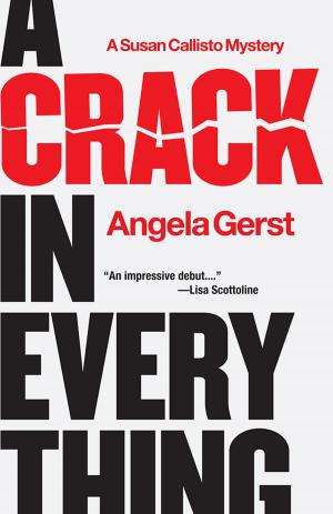 Cover of the book A Crack in Everything by Christie Garton