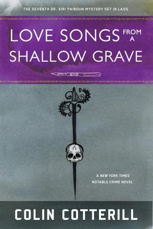Cover of the book Love Songs from a Shallow Grave by Paul Bibeau