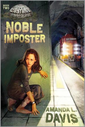 Cover of the book Noble Imposter by Stephen L. Bloom, Kerriel Bailey