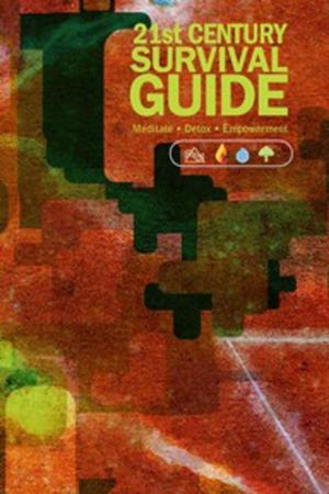 Cover of the book 21st Century Survival Guide by Angelica Stevenson, Dan Haselett