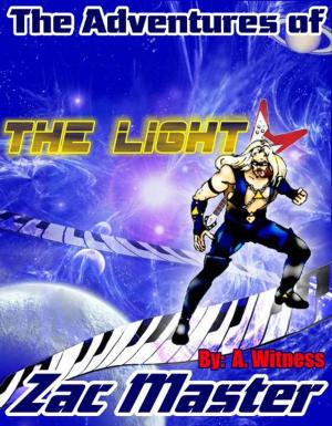 Cover of the book "The Light" by B.C. Murray