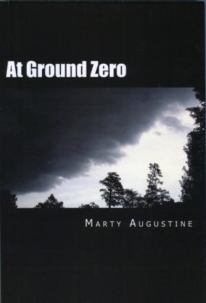 Book cover of At Ground Zero
