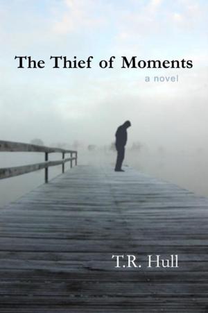 Book cover of The Thief of Moments