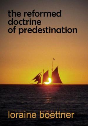 Cover of the book The Reformed Doctrine of Predestination by B.B. Warfield