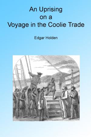 Cover of An Uprising on a Voyage in the Coolie Trade. Illustrated.
