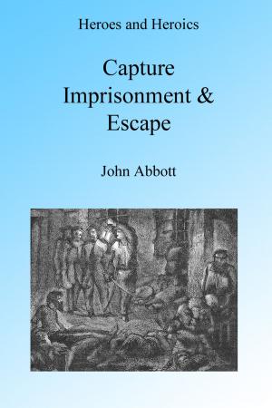 Cover of the book Capture, Imprisonment and Escape, Illustrated. by David Hunter Strother, Porte Crayon