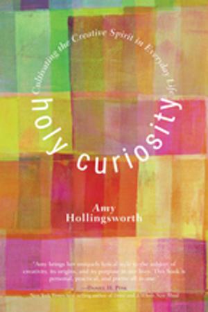 Cover of the book Holy Curiosity by Rufus Burrow