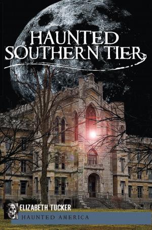 Cover of the book Haunted Southern Tier by Bill Yenne