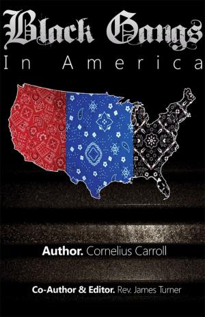 Cover of the book Black Gangs in America by Erica Dean