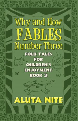 Cover of the book Why and How Fables Number Three by R. Frederick Riddle