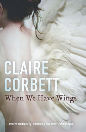 Cover of the book When We Have Wings by J. Scott Coatsworth