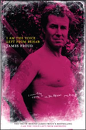 Cover of the book I Am the Voice Left from Rehab by Paul Jennings